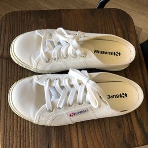 andy z superga
